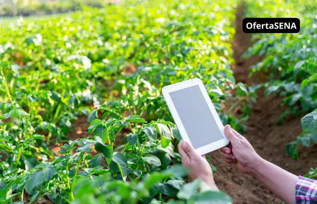 ¿Qué hace un Tecnólogo en Agricultura de Precisión?