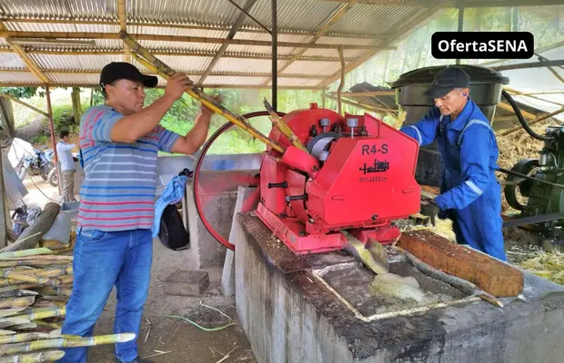 Técnico en Agroindustria Panelera - SENA