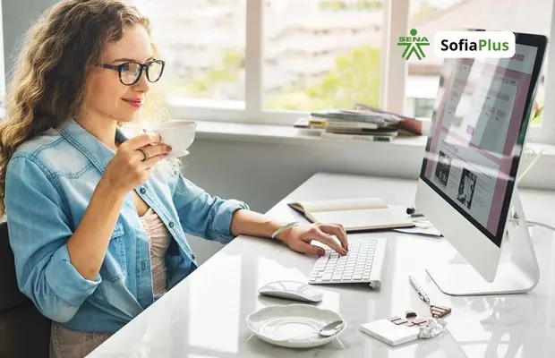 Perfil Profesional Técnico en Asistencia para la Inteligencia Empresarial