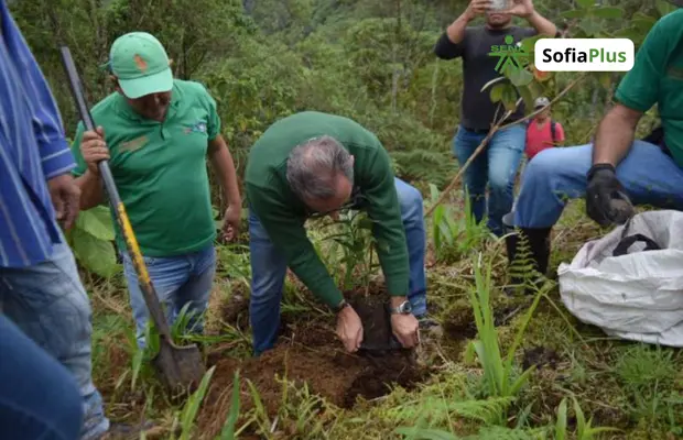 Perfil Profesional Técnico en Conservación de Recursos Naturales