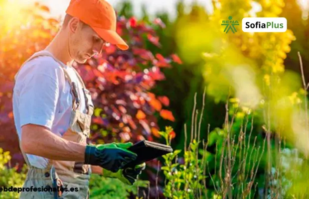 Perfil Profesional Técnico en Construcción de Proyectos de Jardinería con Amoblamiento Urbano SENA