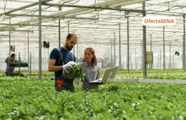 Tecnólogo en Gestión de la Producción Agrícola SENA 