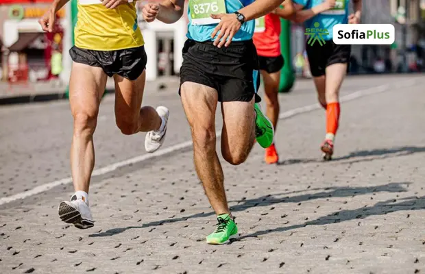Perfil Profesional Técnico en Ejecución de Eventos Deportivos y Recreativos SENA