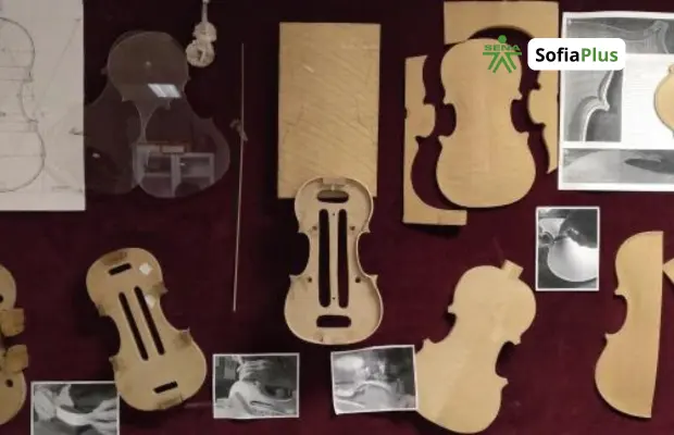 Perfil Profesional Técnico en Elaboración Artesanal de Instrumentos Musicales SENA 