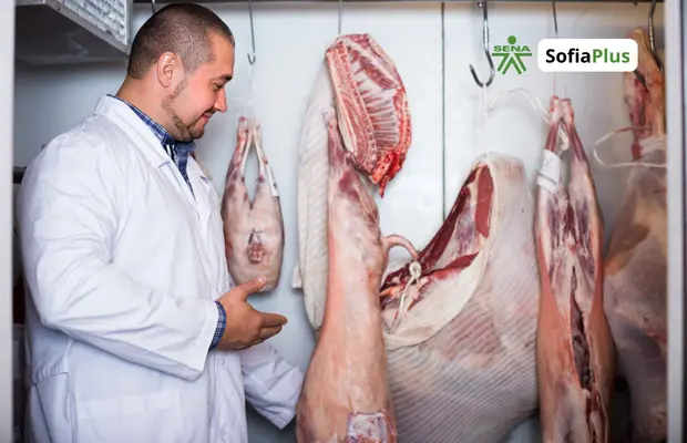 Técnico en Desposte, Porcionado y Exhibición de Carnes SENA