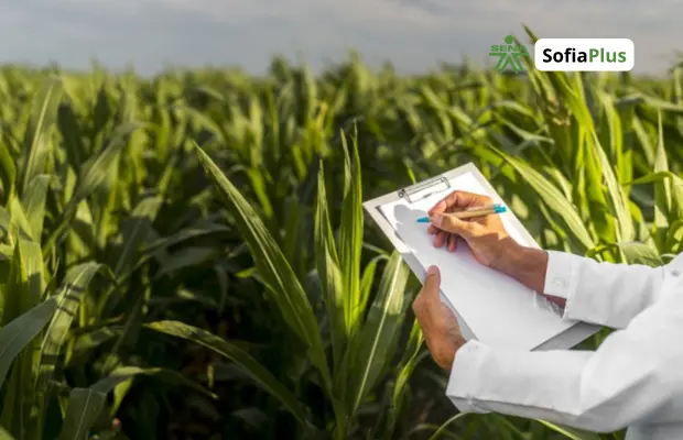 Perfil Profesional Técnico en Producción Agropecuaria SENA Betowa