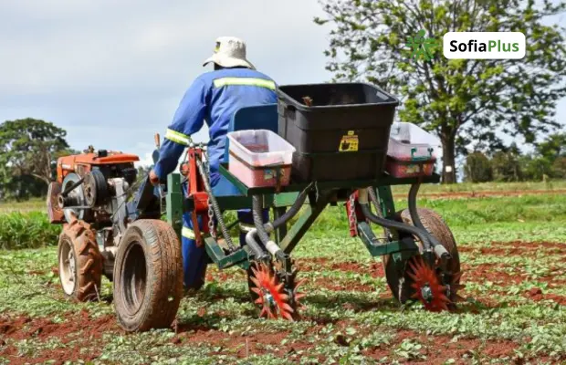 Perfil Profesional Tecnólogo en Mecanización Agrícola SENA Betowa
