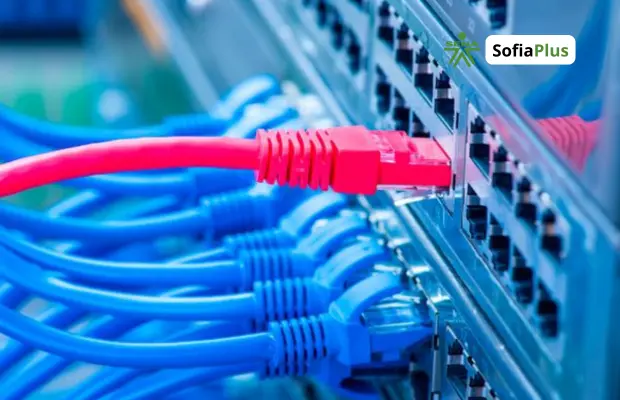 Técnico en Instalación y Mantenimiento de Redes Internas de Telecomunicaciones SENA Betowa