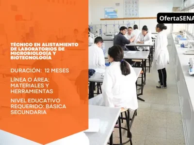 miniatura del curso