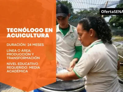miniatura del curso