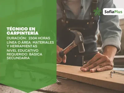 miniatura del curso