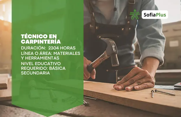 Carrera Técnico en Carpintería