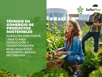 miniatura del curso