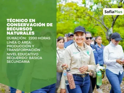 miniatura del curso