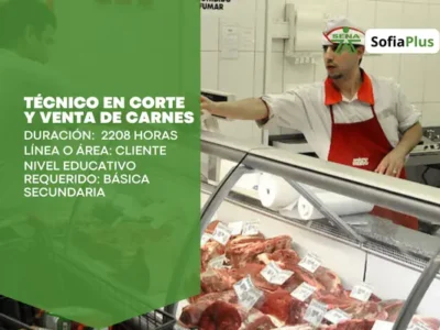 miniatura del curso