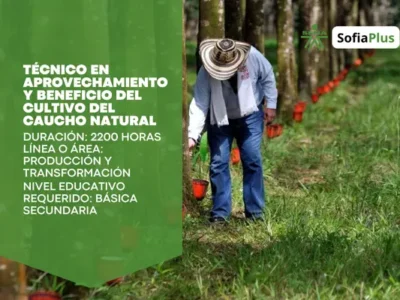 miniatura del curso