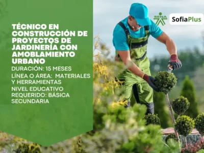 miniatura del curso