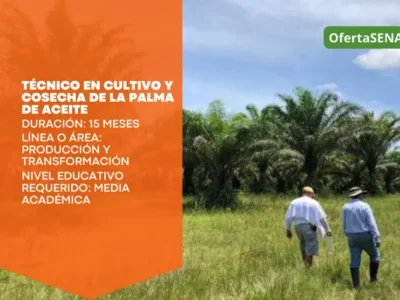 miniatura del curso