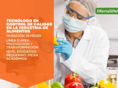 miniatura del curso