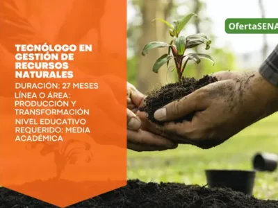miniatura del curso