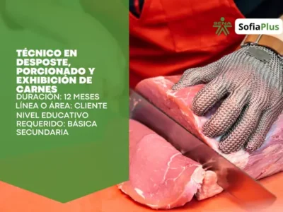 miniatura del curso