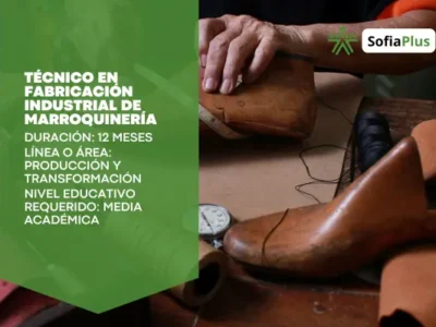 miniatura del curso