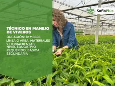 miniatura del curso