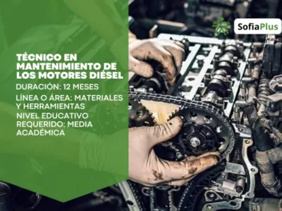 miniatura del curso