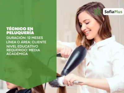 miniatura del curso