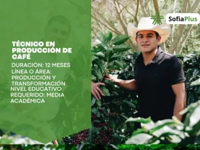 miniatura del curso
