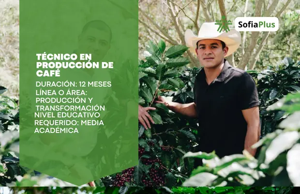 Carrera Técnico en Producción de Café SENA Sofia Plus