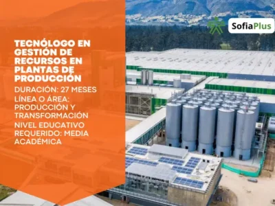 miniatura del curso
