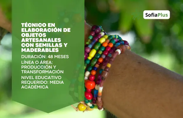 Carrera Técnico en Elaboración de Objetos Artesanales con Semillas y Maderables SENA Sofia Plus
