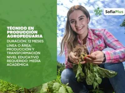 miniatura del curso
