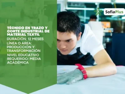 miniatura del curso