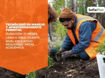 miniatura del curso