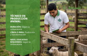Técnico en Producción Animal – SENA Betowa: portada del programa