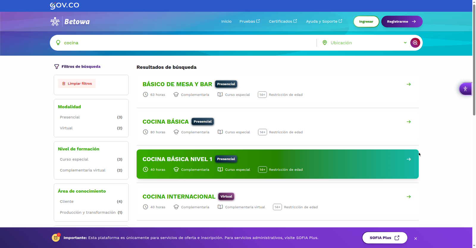 Resultados de búsqueda de programas en Betowa