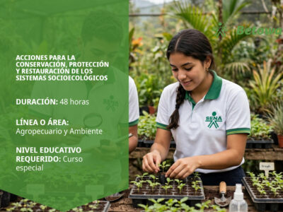 miniatura del curso