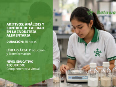 miniatura del curso