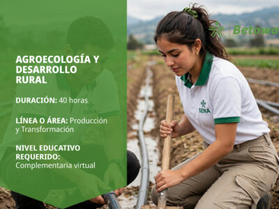 miniatura del curso