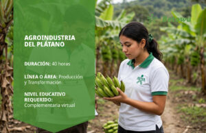 Curso SENA de agroindustria del plátano – Betowa