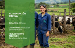 Curso SENA de alimentación bovina – Betowa