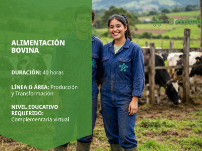 miniatura del curso