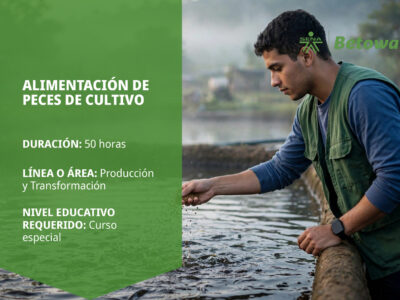 miniatura del curso