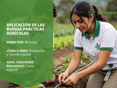 miniatura del curso