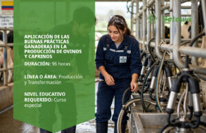 Curso SENA de buenas prácticas ganaderas en la producción de ovinos y caprinos – Betowa