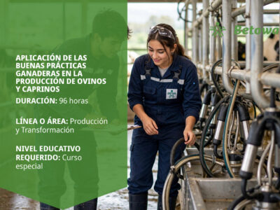 miniatura del curso