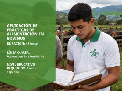 miniatura del curso