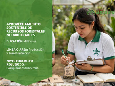 miniatura del curso